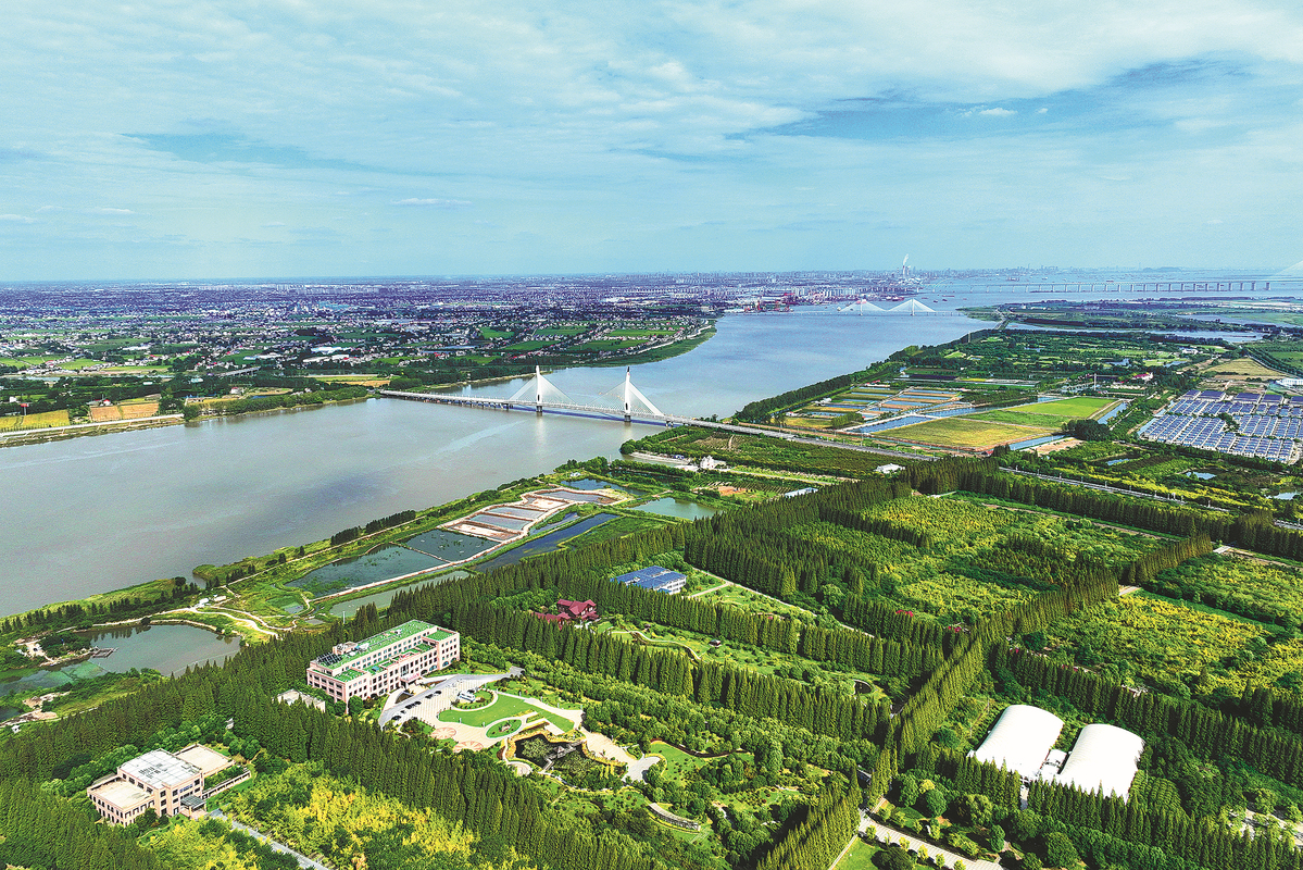 Yangtze river delta view